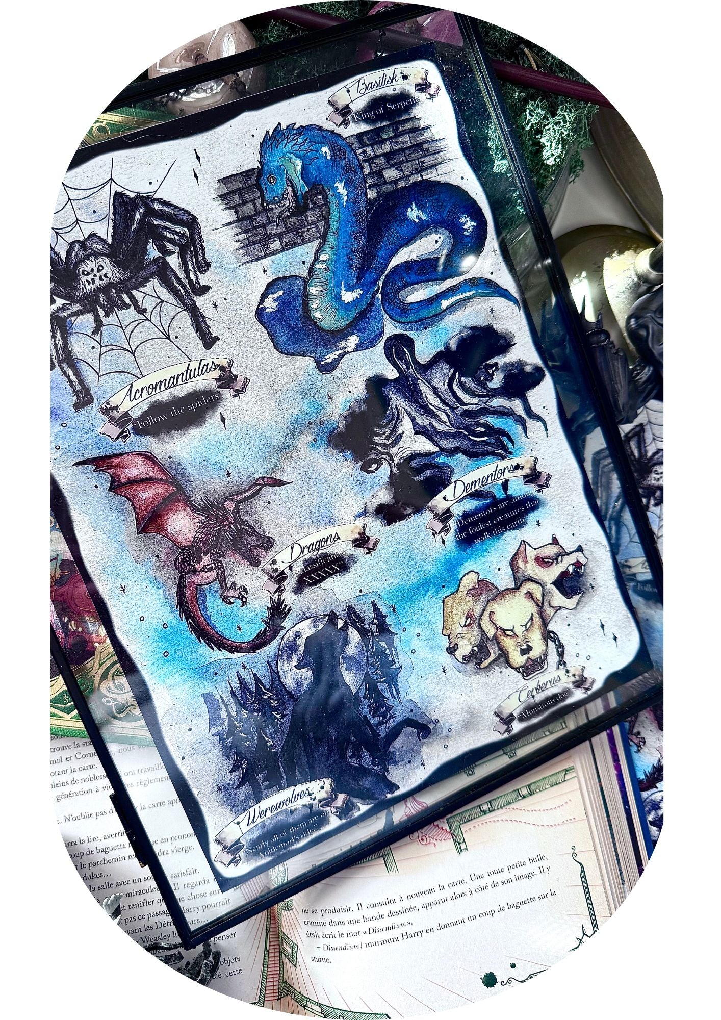 Petit guide des « Créatures Harry Potter »
