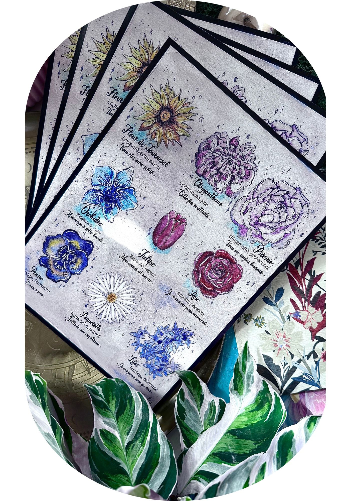 Petit guide du language des fleurs