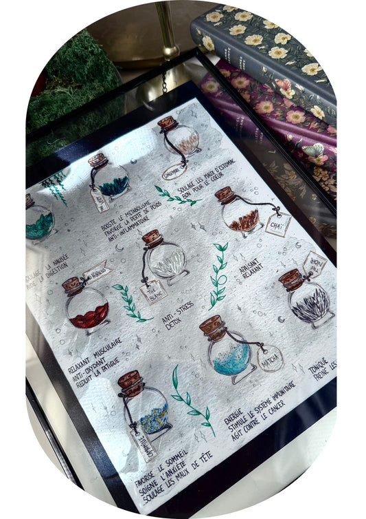 Petit guide des thés et infusions