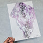 VIOLETxARABESQUES