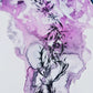 VIOLETxARABESQUES