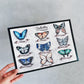 Petit guide des Papillons