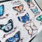 Petit guide des Papillons