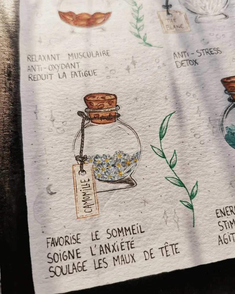 Petit guide des thés et infusions